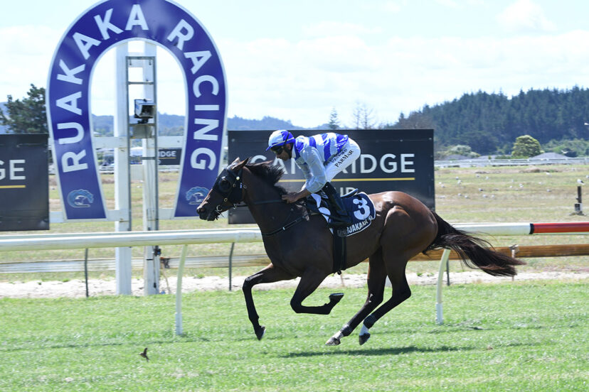 BONIFLEUR WHANGAREI 18 12 2024 RACE IMAGES THERESE DAVIS PHOTO DSC 5299