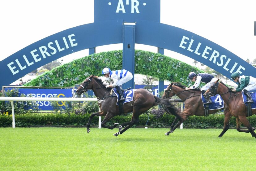 ISLAND LIFE AUCKLAND 8 3 2025 RACE IMAGES PHOTO KENTON WRIGHT D5 A 83702 2071389