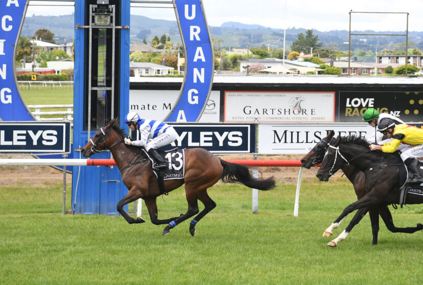 ISLAND LIFE TAURANGA 2 11 2024 RACE IMAGES PHOTO