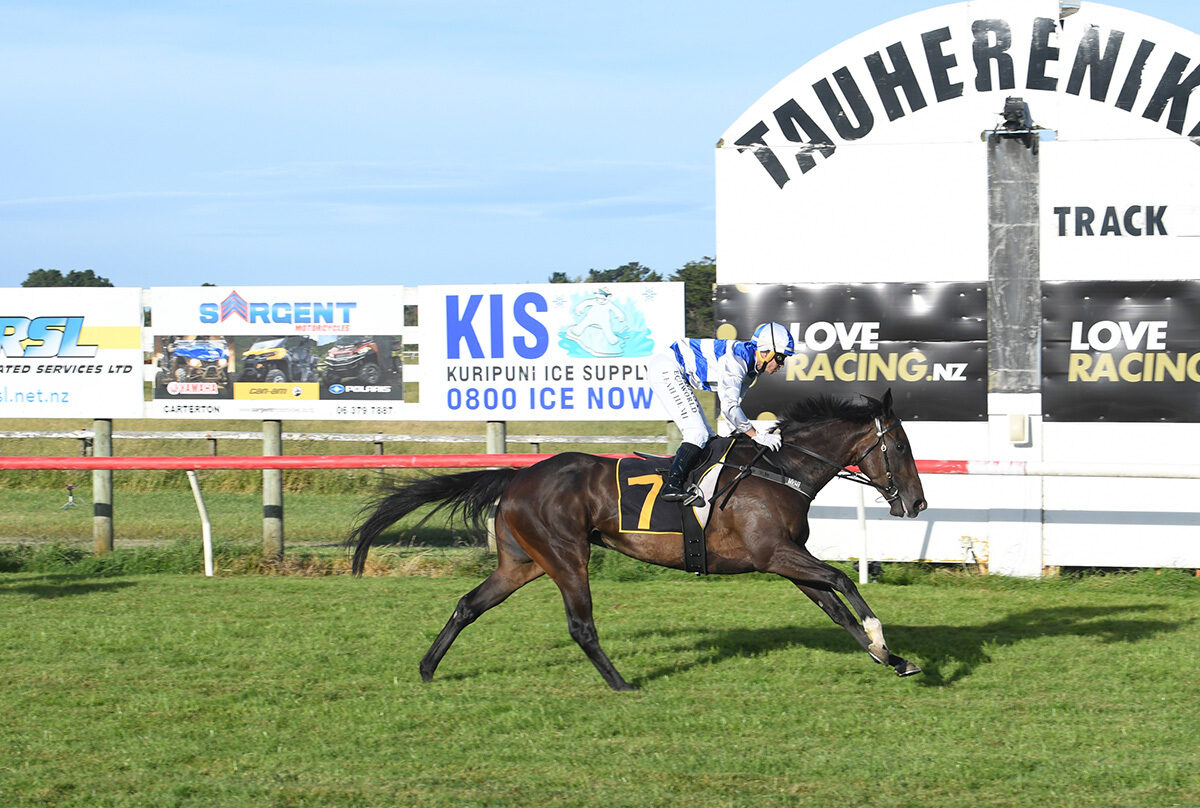 UNEQUIVOCAL WAIRARAPA 11 12 202 RACE IMAGES PHOT PETER RUBERY D53 6341